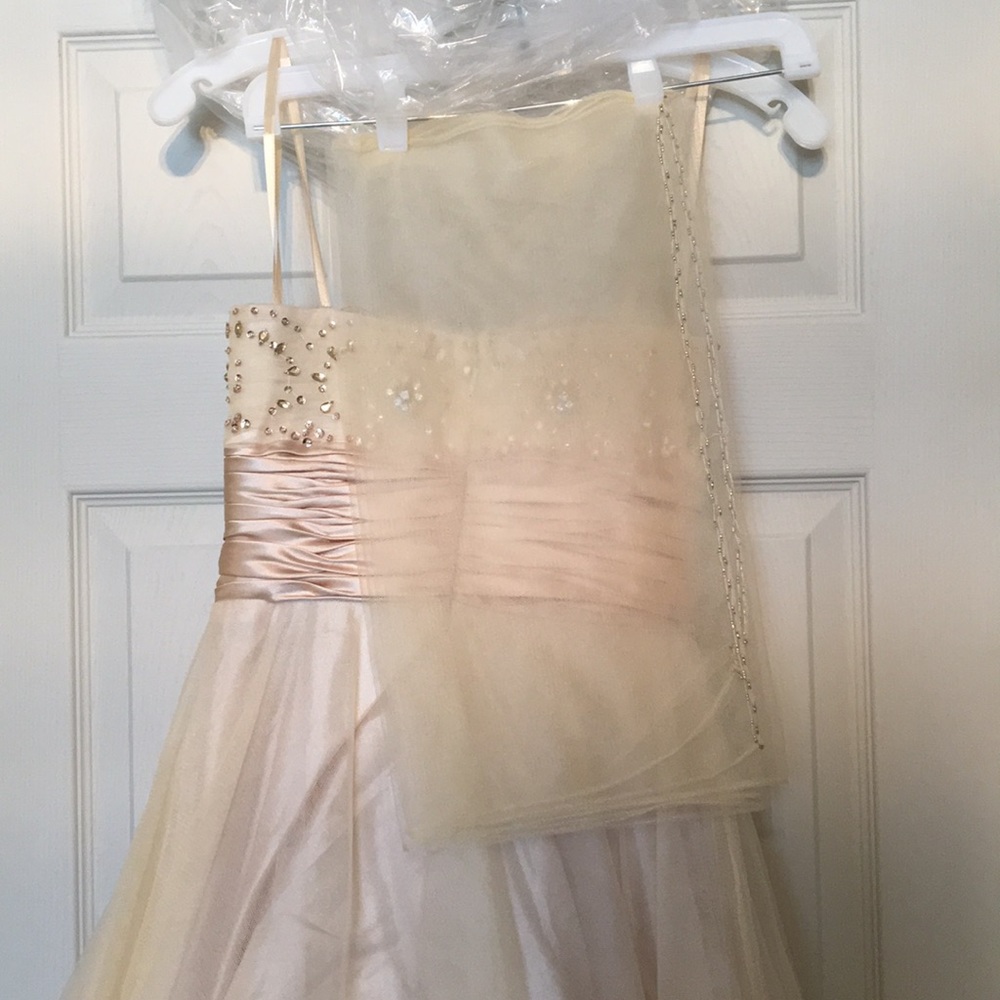 Prom Dress - Picture 6 of 7